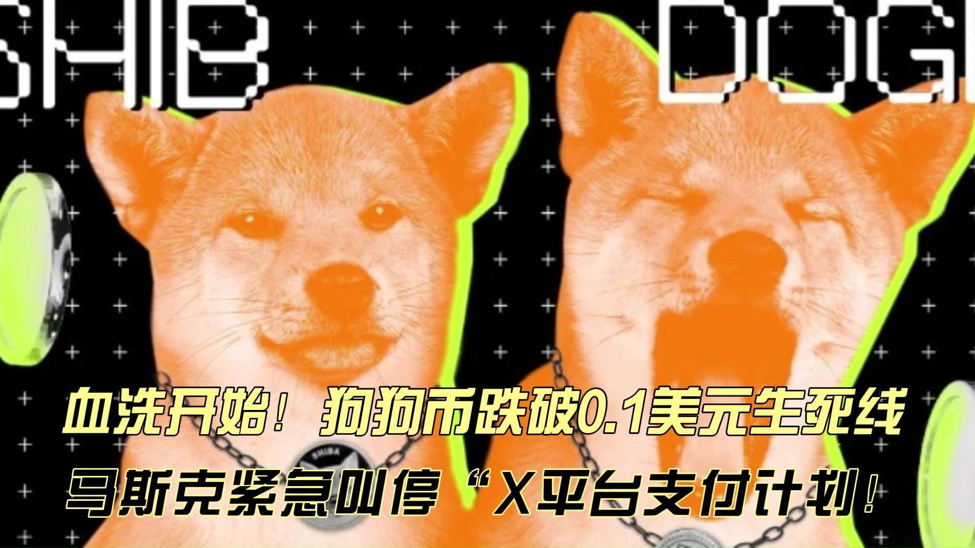 马斯克再次发推，狗狗币瞬间上上扬185%！
