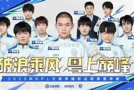 关于排球季后赛焦点战：中原天狼队强势反弹东城白虎队，客场强势带走胜利。冲刺阶段不容有失的信息-九游体育