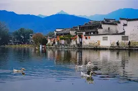 皖南金雕队对阵胶东雷霆队，羽毛球常规赛小胜，细节决定成败——